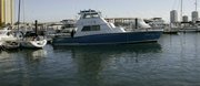 The charter boat Shear Water sits in a Riviera Beach, Fla., dock. Markus Groh, 49, a Vienna lawyer and diving enthusiast, was on a commercial dive trip near the Bahamas with Riviera Beach-based Scuba Adventures on Sunday when he was bitten by a shark in waters that had been baited with bloody fish parts to attract the predators. Groh died of his injury.