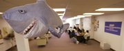 An inflatable shark hangs from the ceiling at East Side Organizing Project on Jan. 23 in Cleveland. With a paid staff then of just two, the activist group has mobilized to battle Cleveland&squot;s mortgage "loan sharks."