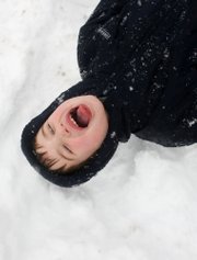 Luke Potts, 6, of Kirkwood, Mo., drops into the snow and opens his mouth hoping to catch a snowflake Tuesday afternoon on an outing with his family. A new study shows snow contains large amounts of bacteria, though it's fairly harmless.