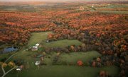 Baldwin Woods is one of the best remaining examples of original eastern deciduous forest in the state. Douglas County and Lawrence city commissioners are considering a proposal to preserve about 250 privately owned acres of the woodlands.