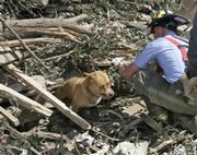 Picher firefighter Josh Stillwell frees a dog trapped in tornado debris in Picher, Okla., on Monday. Six people were killed and more than 100 homes destroyed by a tornado Saturday night.