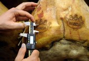 Parma quality control inspector Domenico D&squot;Aniello measures the Parma brand March 31 at the "Pio Tosini" Parma ham storehouse in Parma, Italy.