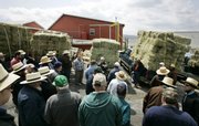 Auctioneer Mark Glick, at center leaning against hay, auctions off a load of local hay at Belleville Farmers Market & Livestock in Belleville, Pa. Folks in this mountain community have been voting overwhelmingly Republican in national elections for decades, but tough economic times have created possible openings for Democrat Barack Obama.