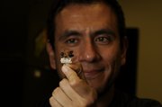Ismael Hinojosa-Diaz captured the first giant resin bee found west of the Mississippi River. In 2005, he and four colleagues published a study predicting such a finding. Hinojosa-Diaz is a doctoral student at KU.