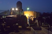 The day begins at 4:30 a.m. on Eugene George’s dairy farm. George feeds and milks his cattle as the sun rises. Dairy farmers have been struggling to make ends meet because they are getting lower prices for milk.