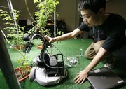 Massachusetts Institute of Technology student Huan Liu of Shanghai, China, positions a robot gardener near a tomato plant while demonstrating its capabilities in the Artificial Intelligence Laboratory on March 18 on the school’s campus in Cambridge, Mass.