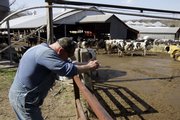 Dairy farmer Darrell Kraus leans against a fence as he works on his farm in Barnhart, Mo. Kraus spends almost as much today on hay and other supplies for his herd of 160 cows as he did a year ago, but he’s getting paid less for a gallon of milk than his father did in the 1970s.