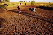 Farmer Nelci de Fatima Goncalves pulls a cow across a cracked field caused by a drought May 9 in Passo Fundo, Rio Grande do Sul, Brazil. Southern Brazilian states far from the Amazon have suffered from an extended drought, caused by La Nina, a periodic cooling of waters in the Pacific Ocean, while across the Amazon basin, river dwellers are trying to stay above rising floodwaters that have killed 44 people and left 376,000 homeless.