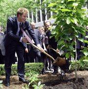 Britain’s Prince Harry throws a shovel of dirt at the base of a magnolia bush planted in The British Garden on Friday at Hanover Square in New York.