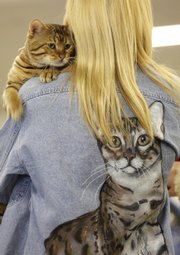 Gunnin’ For Thrills, a 1-year-old Bengal cat, has a snuggle spot on breeder Janice Becker’s shoulder at the American Cat Fanciers Association’s cat show Saturday. The cat pictured on Becker’s shirt back is another one of her cats.