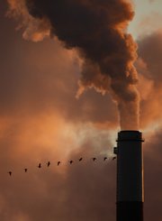 A flock of geese fly past a smokestack in this Jan. 10 file photo at the Jeffery Energy Center coal power plant near Emmitt, Kan. Sweeping legislation to curb the pollution linked to global warming and create a new energy-efficient economy is headed to an uncertain future in the Senate after squeaking through the House.