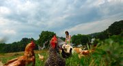 Julie Stinar, of Sharpsburg, Md., walks through a pasture on her Evensong Farm, where she raises chickens and grows produce to sell at farmers’ markets.