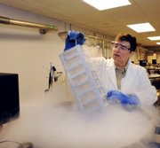 Julie Feinstein, Manager of the American Museum of Natural History Ambrose Monell Collection, works over a liquid nitrogen-cooled storage vat at the museum Tuesday in New York in this photo released by the museum.