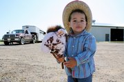 Steven Norris, 2, of Lawrence rides on his stick horse at the Douglas County Fair Open Horse Show. Norris ran in the stick-horse race for children ages 6 and under.