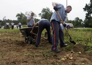 Inmates harvest potatoes at Southeastern Correctional Institution in Lancaster, Ohio, in this Aug. 4 photo. Some overtaxed food banks and underfunded governments are turning to prisoners for free labor to feed the hungry.
