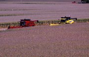 Combines demonstrate their corn harvesting ability at the Farm Progress Show last week in Decatur, Ill. A new study warns farmers to prepare for changes as climate shifts alter the agricultural landscape.