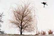 Using a telephoto lens to create perspective compression and a choosing a unique angle for the framing, I created a photograph that has elements of an optical illusion.