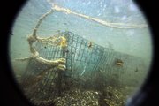 A lost lobster trap sits on the ocean floor off Biddeford, Maine, in this Nov. 13 photo. Marine biologists say “ghost traps” lost by lobstermen continue to catch lobsters as they sit untended in the cold ocean waters off Maine’s coast.