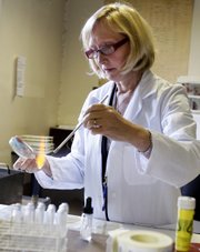 Professor Lynne Liebowitz works Oct. 12 in the laboratory at the Queen Elizabeth Hospital in King’s Lynn, England. It’s in this hospital that Liebowitz got tired of seeing the stunningly low Nordic MRSA rates while facing her own burgeoning cases. So she turned her Queen Elizabeth Hospital in Kings Lynn into a petri dish, asking doctors to almost completely stop using two antibiotics known for provoking MRSA infections. One month later, the results were in: MRSA rates were tumbling. And they’ve continued to plummet.