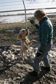 Loretta Hiatt pets one of the “guests” at Homestead Pet Resort north of Lawrence, which she founded in 2008. Find more information about Homestead Pet Resort at www.homesteadpetresort.com.
