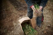 Tom Maiorana, of Spring Creek Farm, holds out produce for sale. The produce is grown organically — without fertilizer or pesticide — but without the funding to pay for the organic certification process, Spring Creek Farm’s produce can no longer be labeled organic.