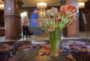 The Skirvin Hilton hotel in Oklahoma City is allegedly haunted. The historic hotel re-opened in 2007 after an extensive renovation.