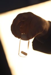 Dr. Stephen Ross shows an example of the pill a patient would take in a study on the effects of hallucinogenic drugs on the emotional and psychological state of cancer patients in New York. The pill could could either contain a placebo or psilocybin, the psychoactive ingredient in hallucinogenic mushrooms.