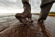 Plaquemines Parish coastal zone director P.J. Hahn lifts his boot out of thick beached oil Saturday at Queen Bess Island in Barataria Bay, just off the Gulf of Mexico in Plaquemines Parish, La.