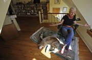 Author Sara Paretsky and dog Callie are seen during an interview in October, 2010, at her Chicago home. Paretsky’s latest book, “Body Work,” is the 14th in her series about feisty female private detective V.I. Warshawski.