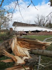 Damaged tree limbs can be seen near a barn that was lifted off its foundation by a tornado Tuesday in Mount Pleasant, Wis. Wisconsin was one of 11 states in the Midwest that was under a high wind warning Tuesday when a strong storm system moved through.