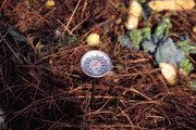 Adding a thermometer to your compost pile will help you know if the pile is hot enough to kill pests. A week at 100 degrees could have the same killing effect on some pests as an hour at 140 degrees.