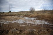 Nitrogen seeps to the top of certain patches of land on the former Farmland site. Much of the cleanup effort will involve taking care of environmental issues such as the nitrogen that remains from past spills.