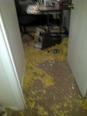 Insulation and debris litter the ground inside an apartment in the 1100 block of Louisiana Street. Five people were arrested early Saturday morning for burglaries in the area.