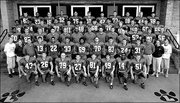 Stephen Paea, pictured in the top row wearing No. 75, appeared in the Lawrence High 2004 team football photo. His fraternal twin brother, Will, is pictured in the second row, wearing No. 33.