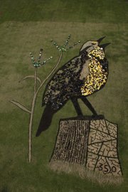 Former Lawrence resident Daniel Dancer collaborated with students at Schwegler School, 2201 Ousdahl Road, at a recent event to create the image of a western Meadowlark as part of a series of educational prairie-related events. The 350 in the image is the safe upper limit parts per million of carbon dioxide in the air.