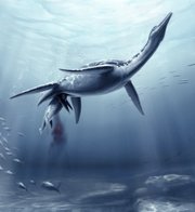 This undated image provided by the journal Science shows a life reconstruction of the plesiosaur Polycotylus latippinus giving birth to a single, large young, based on fossil evidence from the Upper Cretaceous (80 million years ago) of Kansas. The giant reptile was pregnant when she died more than 70 million years ago, according to a new analysis of the remains that offers the first proof that Plesiosaur gave birth to live young rather than laying eggs.