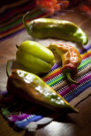 green frying pepper