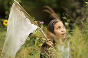 Maya Herrera, 11, Lawrence, looks for monarch butterflies Sunday at the Prairie Park Nature Center. Those who were able to catch and tag a butterfly received a certificate that contained the tag number. By going to a website, they will be able to see if their butterfly gets caught again in the future.