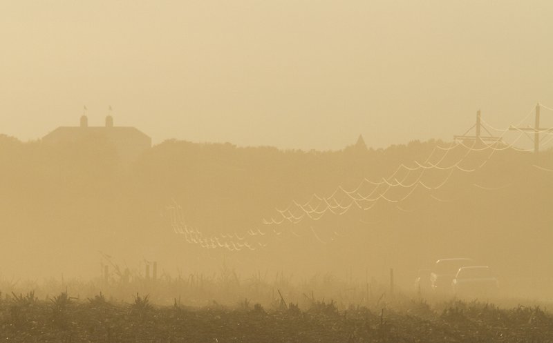 In fields east of Lawrence, cars on N. 1500 Road are barely visible from the dust of a late season corn harvest.