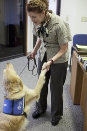 Nancy Giossi plays with McLaren, a 2-year-old golden retriever who will eventually become an assistance dog, at the Kansas University Department of Continuing Education. Giossi has been a “puppy raiser” for nearly a decade for KSDS, and she’ll soon be sending McLaren back to the training center for the final portions of his training.