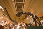 This undated handout photo provided by the Smithsonian Institutions shows the current Dinosaur Hall at the Smithsonian's Museum of Natural History. Energy businessman David H. Koch is donating a record $35 million to the Smithsonian’s National Museum of Natural History to build a new dinosaur hall on the National Mall. The Smithsonian is announcing the gift Thursday from the executive vice president of Koch Industries Inc. of Wichita, Kan. It is the single largest gift in the museum’s 102-year history.
