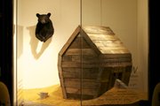 Pictured at left is “Bear Heart,” a reclaimed taxidermy black bear, and, at right, "Overflow," a site specific sculpture installation, by Darin White.