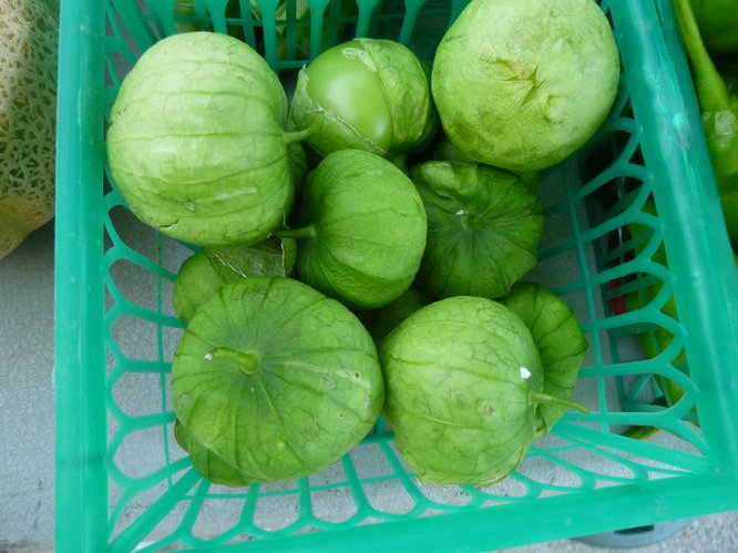 Tomatillos, sometimes called Mexican Ground Cherries, available from Avery's Produce.