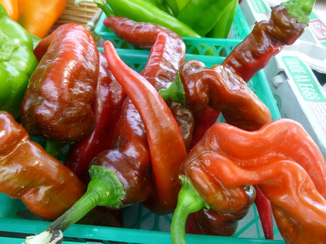Hot Peppers and Hotter Peppers from Avery's Produce at Cottin's Hardware Farmers Market.