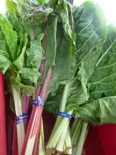 Fresh Chard and Kale are still available from several vendors at Cottin's Hardware Farmers Market.