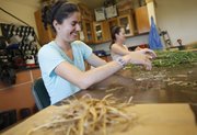 Kathy Roccaforte, a doctoral student in ecology and evolutionary biology, sorts through a sampling of grass from a KU Field Station site July 17. Roccaforte and others working at the Field Station were measuring biomass taken from their samples, which is an important step in prairie restoration efforts.