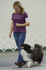 Siouxsan Eisen, Kearney, MO., competes in the Novice B Obedience event with her dog Pinch at the Lawrence Jayhawk Kennel Club all-breed dog show Saturday, Oct. 13, 2012, at the Douglas County Fairgrounds. The event continues today.