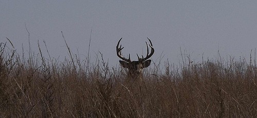 Photo detail