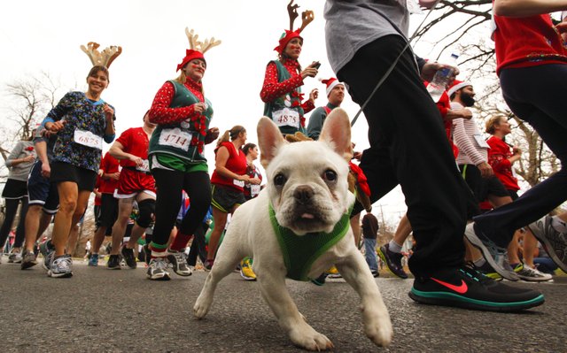 Ugly sweater run omaha 2018 coupon