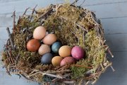 The eggs in the nest, from left, are plain eggs, then eggs dyed with radish tops, blueberries, turmeric and beets.